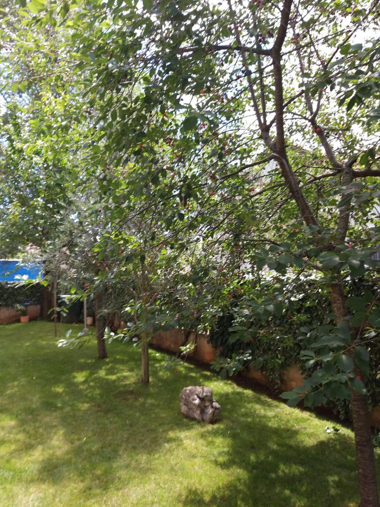 Apartmani Anita มาลินสกา ภายนอก รูปภาพ