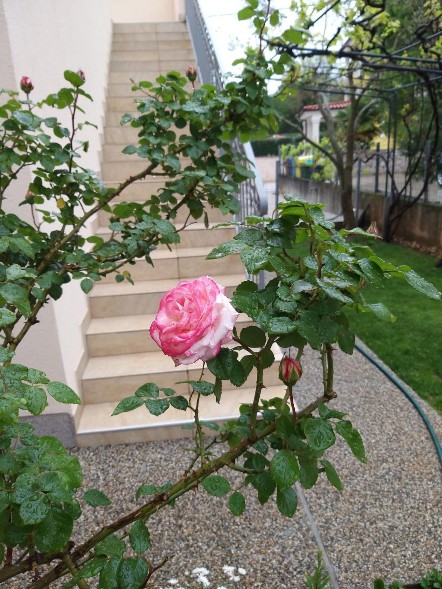 Apartmani Anita มาลินสกา ภายนอก รูปภาพ
